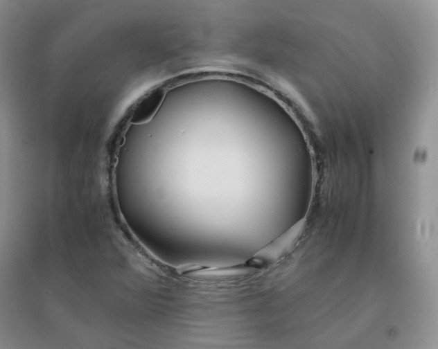 X0000096381360200802071503