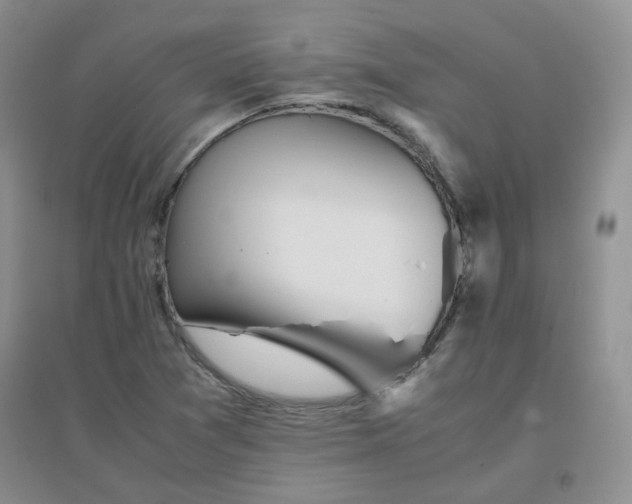 X0000096381361200802071503