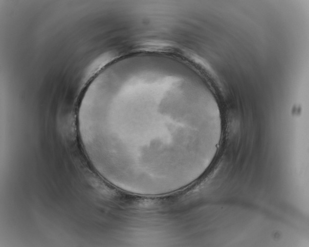 X0000096381362200802071503