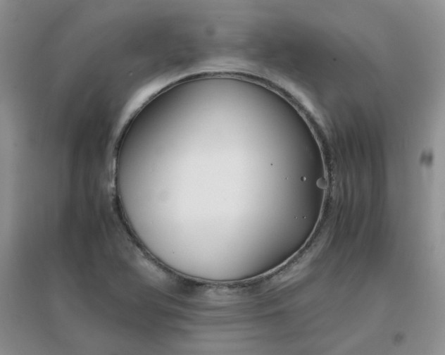 X0000096381366200802071503