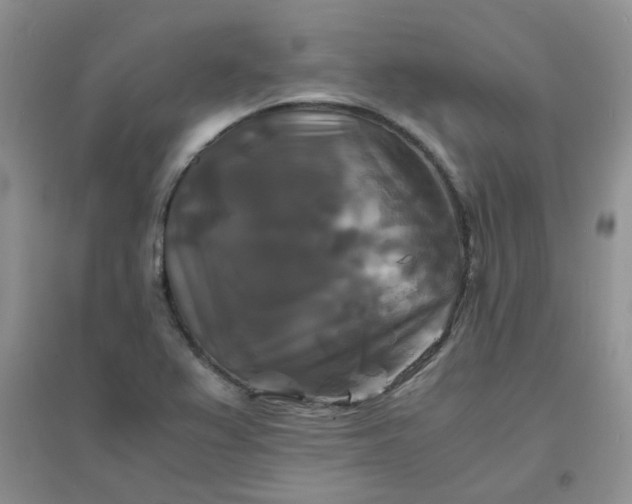 X0000096381367200802071503