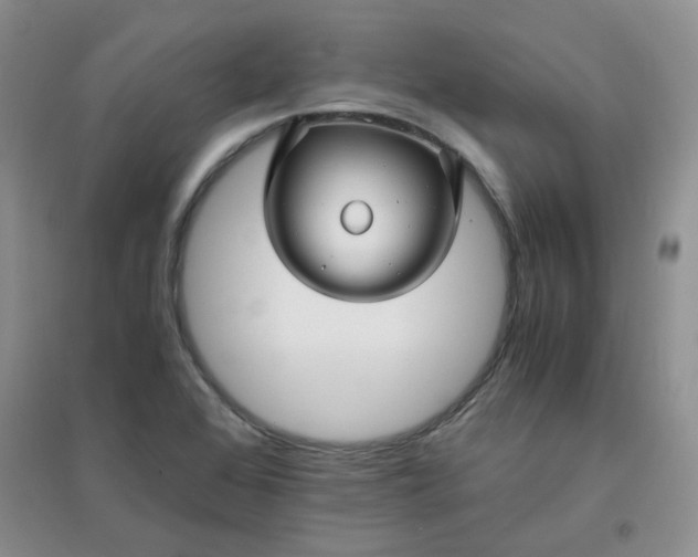 X0000096381368200802071503