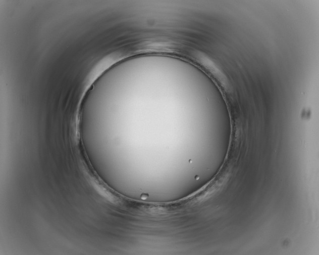 X0000096381370200802071503