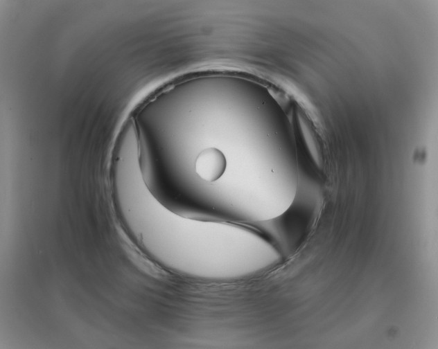 X0000096381372200802071503