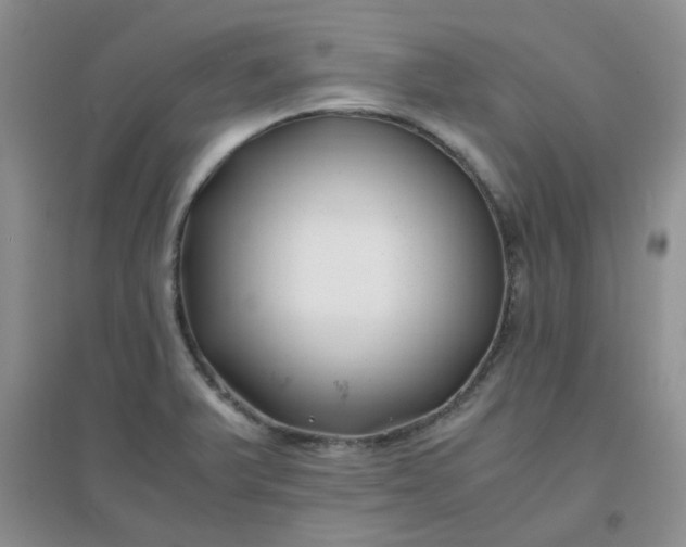 X0000096381375200802071503