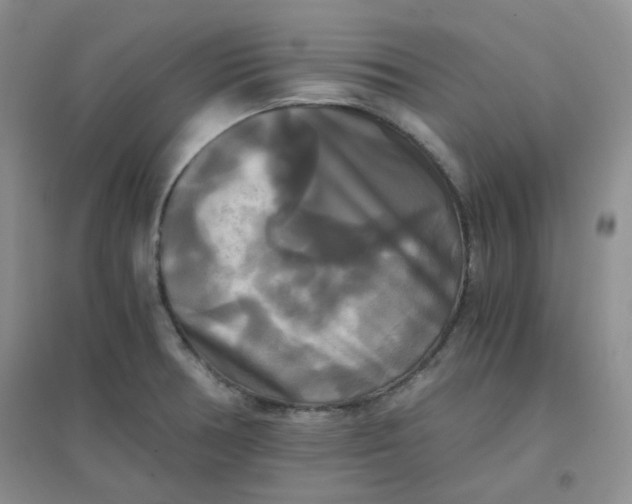 X0000096381378200802071503