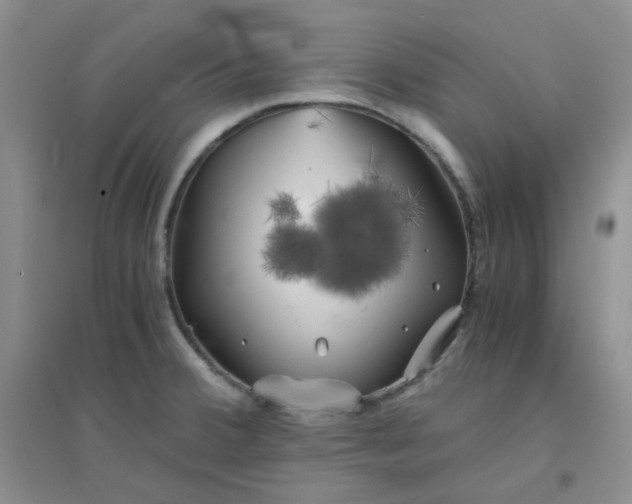 X0000096381380200802071503