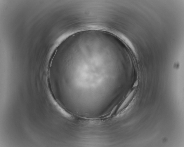 X0000096381381200802071503