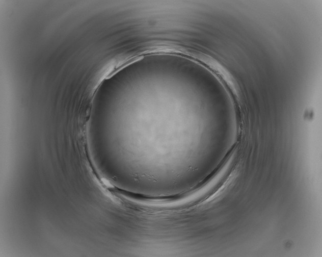 X0000096381385200802071503