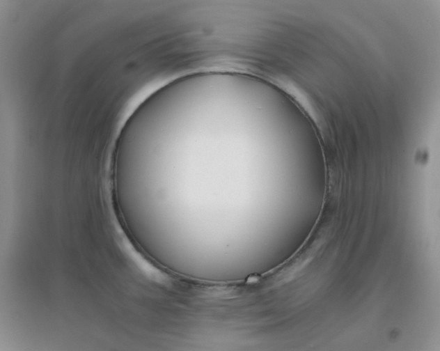 X0000096381387200802071503