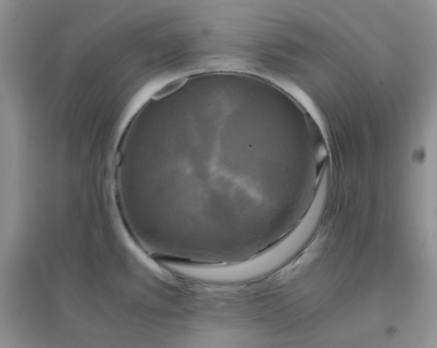 X0000096381389200802071503