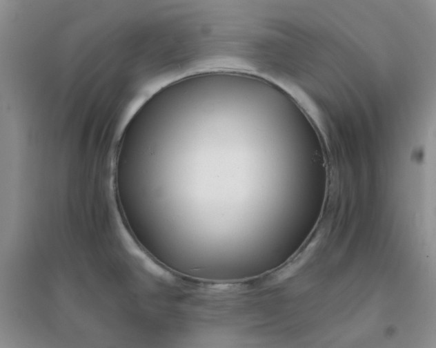 X0000096381390200802071503