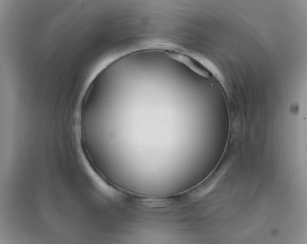 X0000096381391200802071503