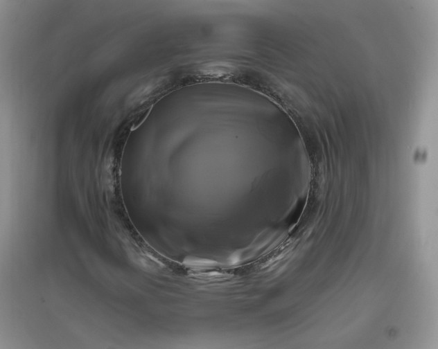 X0000096381394200802071502