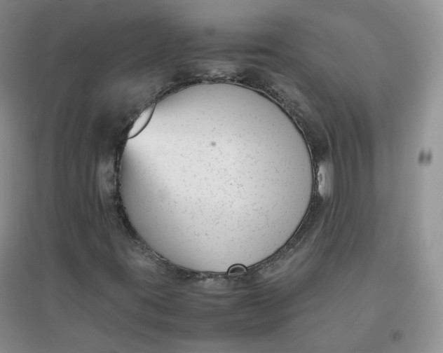 X0000096381395200802071502