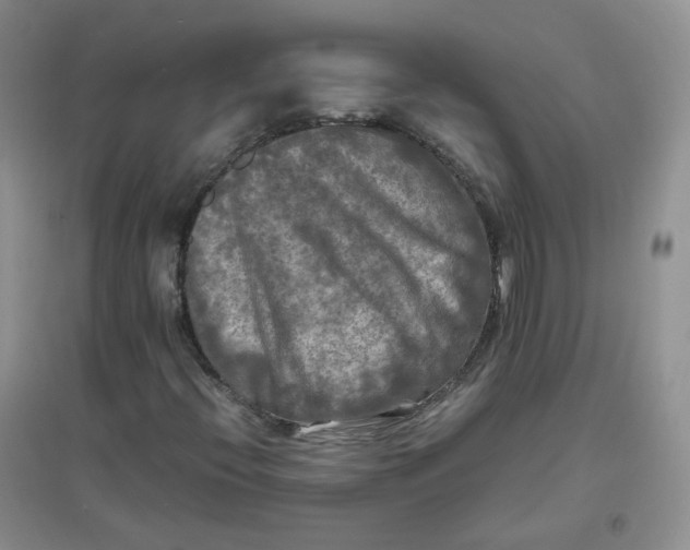 X0000096381396200802071502