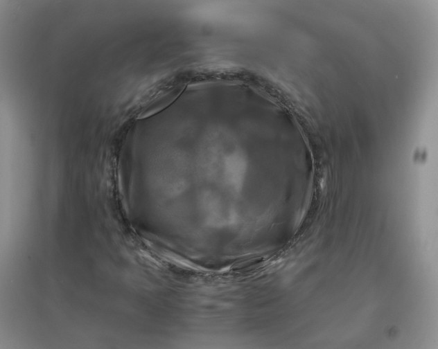 X0000096381397200802071502