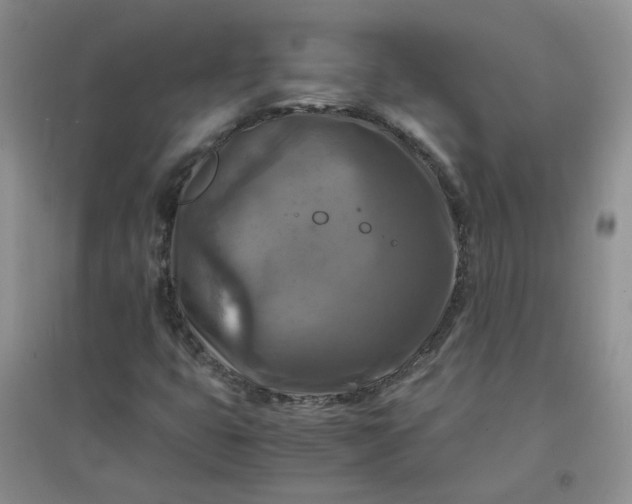 X0000096381399200802071502