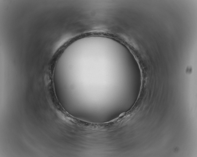 X0000096381400200802071502