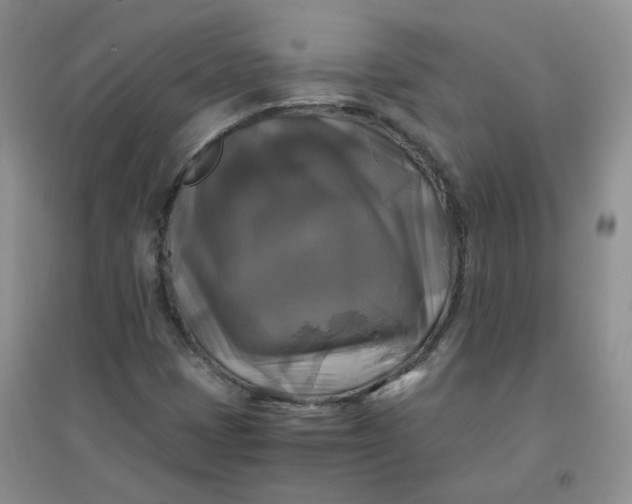 X0000096381401200802071502