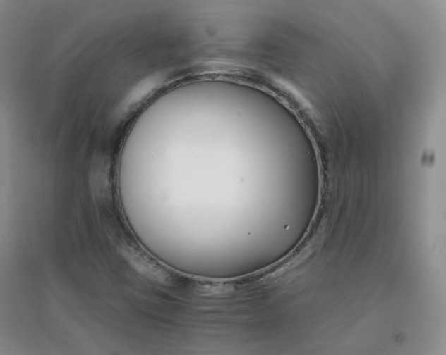 X0000096381403200802071502