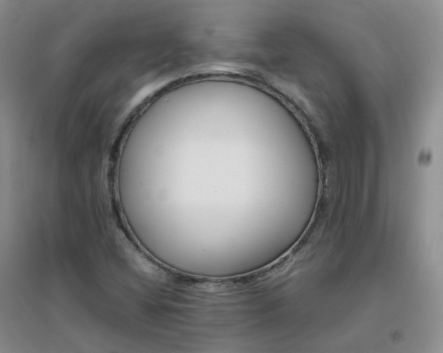 X0000096381404200802071502