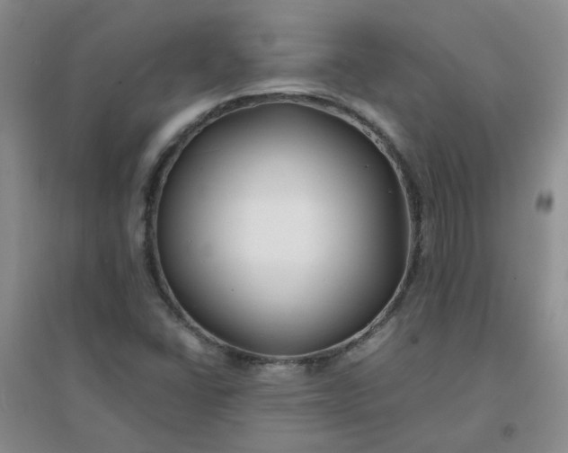 X0000096381406200802071502