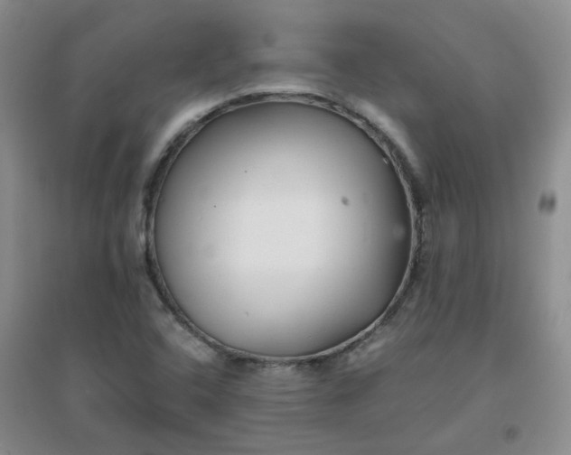 X0000096381408200802071503