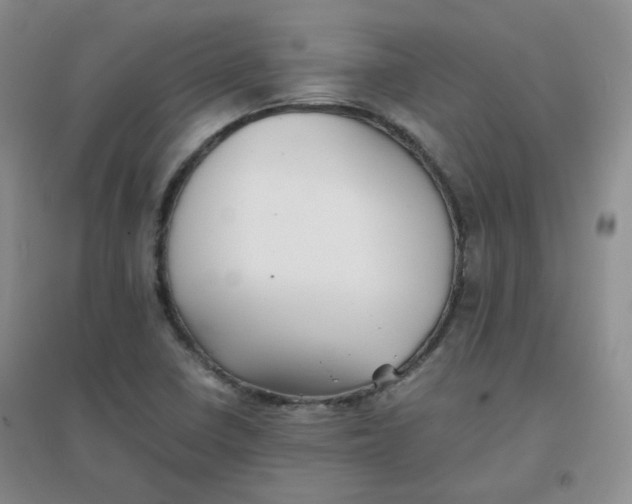 X0000096381410200802071503