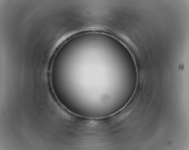 X0000096381412200802071503