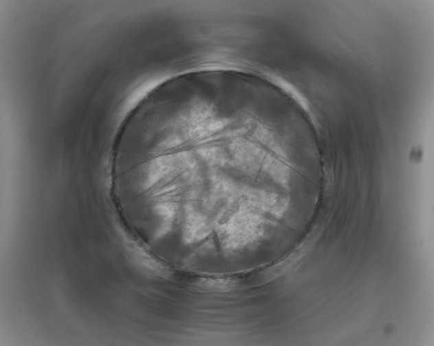 X0000096381415200802071503