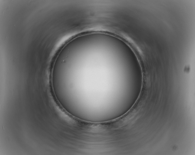 X0000096381416200802071503