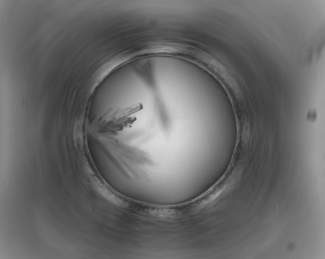 X0000096381417200802071503