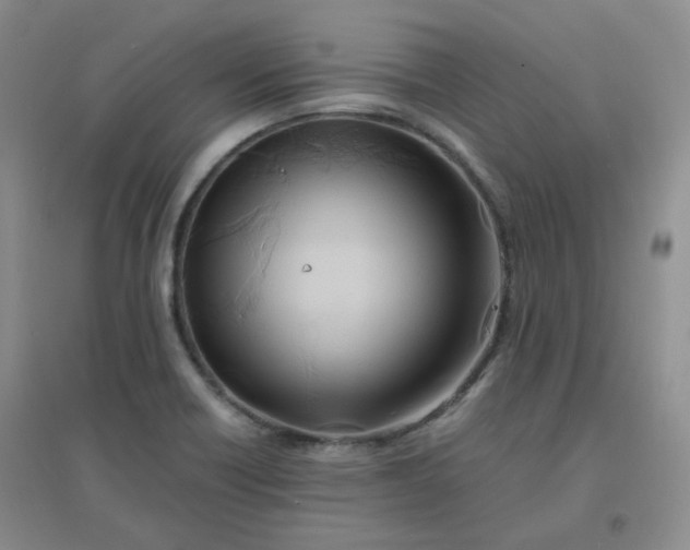 X0000096381418200802071503