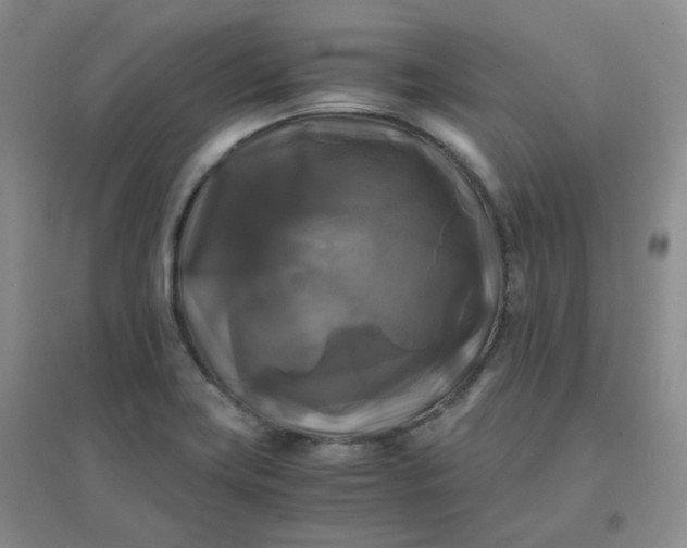 X0000096381419200802071503