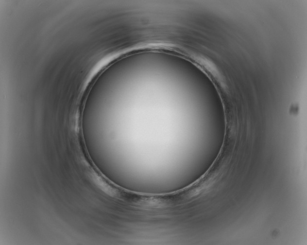 X0000096381420200802071503