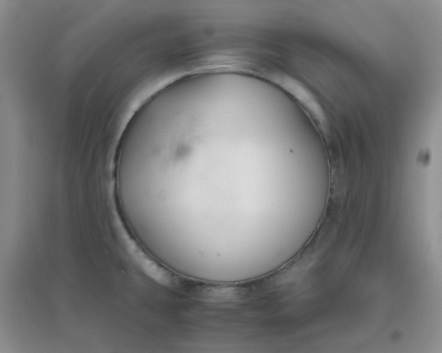 X0000096381431200802071503