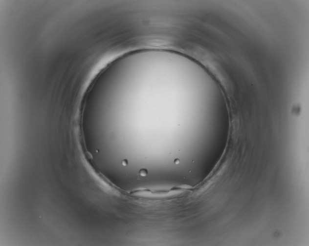 X0000096381432200802071503