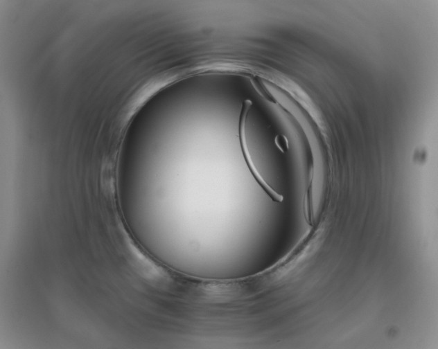 X0000096381433200802071503