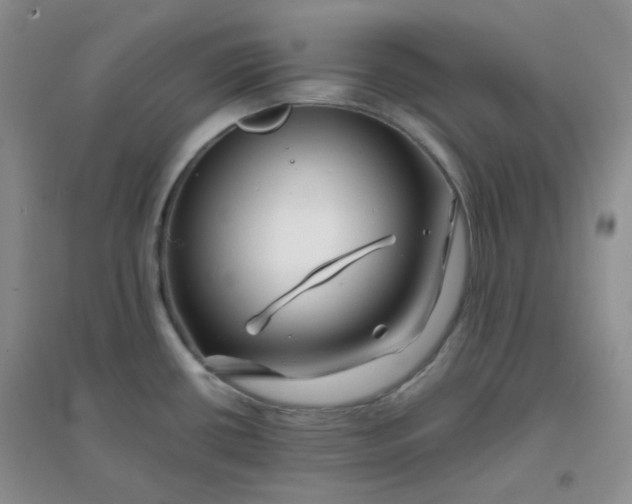 X0000096381434200802071503