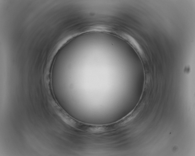 X0000096381435200802071503