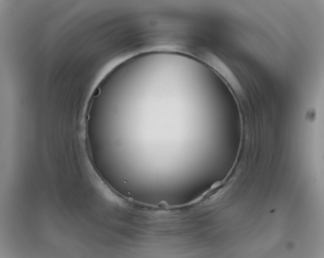 X0000096381436200802071503