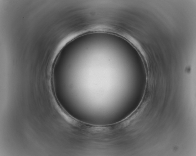 X0000096381437200802071503