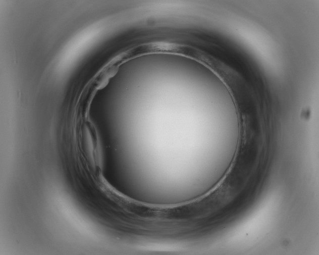 X0000096381438200802071503