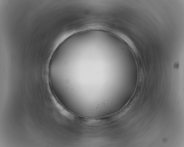 X0000096381439200802071503