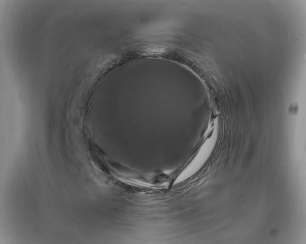 X0000096381441200802071502