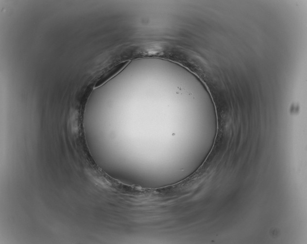 X0000096381442200802071502