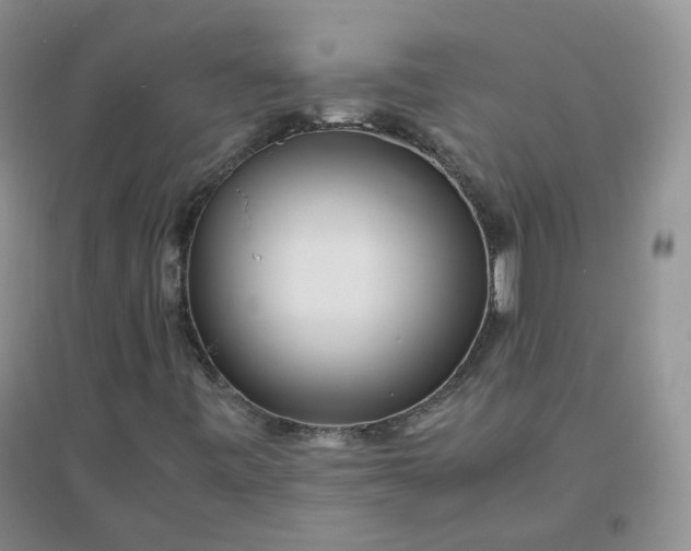 X0000096381443200802071502