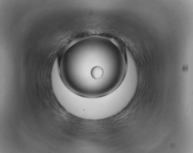 X0000096381444200802071502