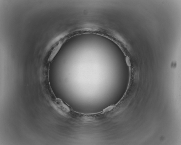 X0000096381448200802071502